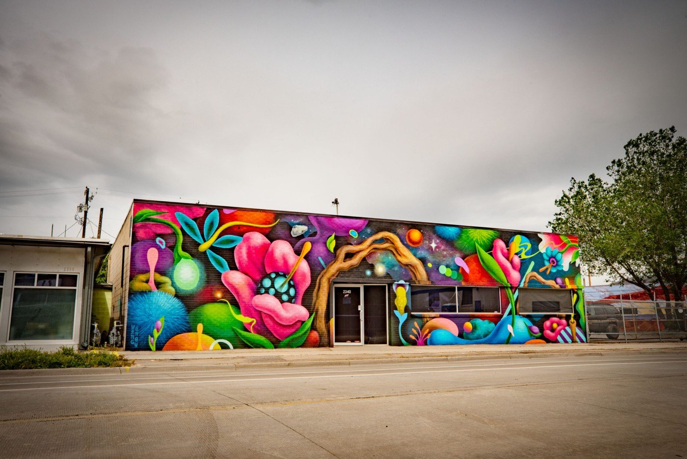 South Salt Lake Arts Council - Cosmic Garden